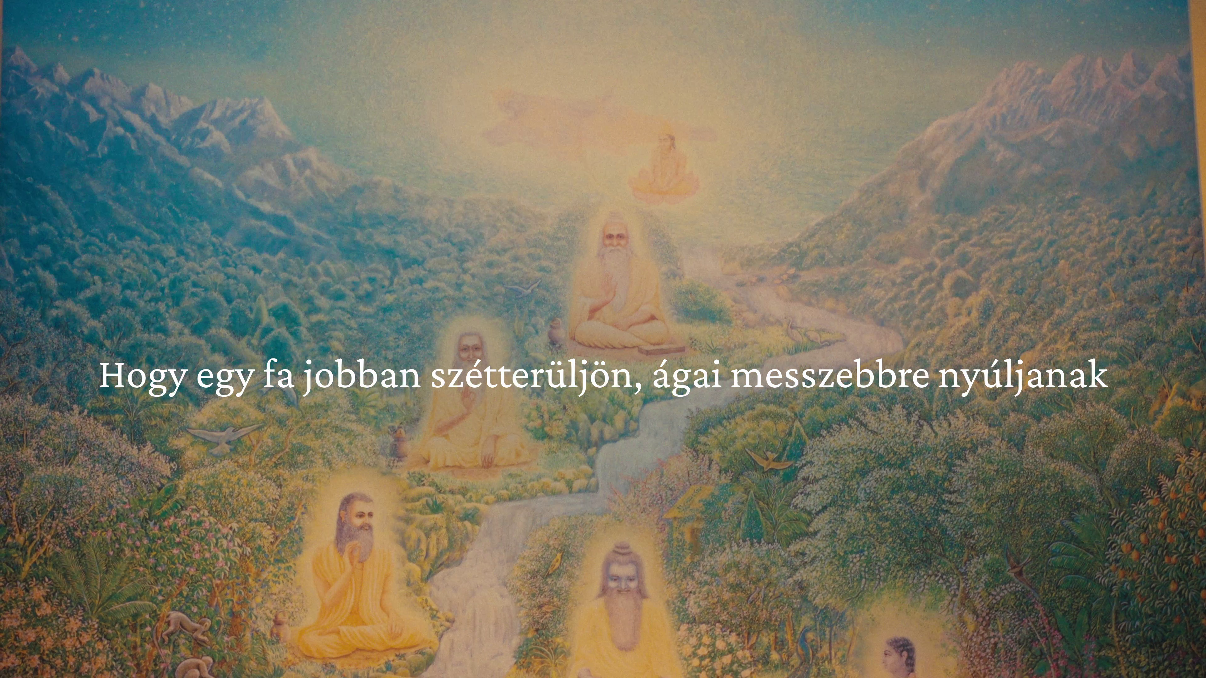 Video poster